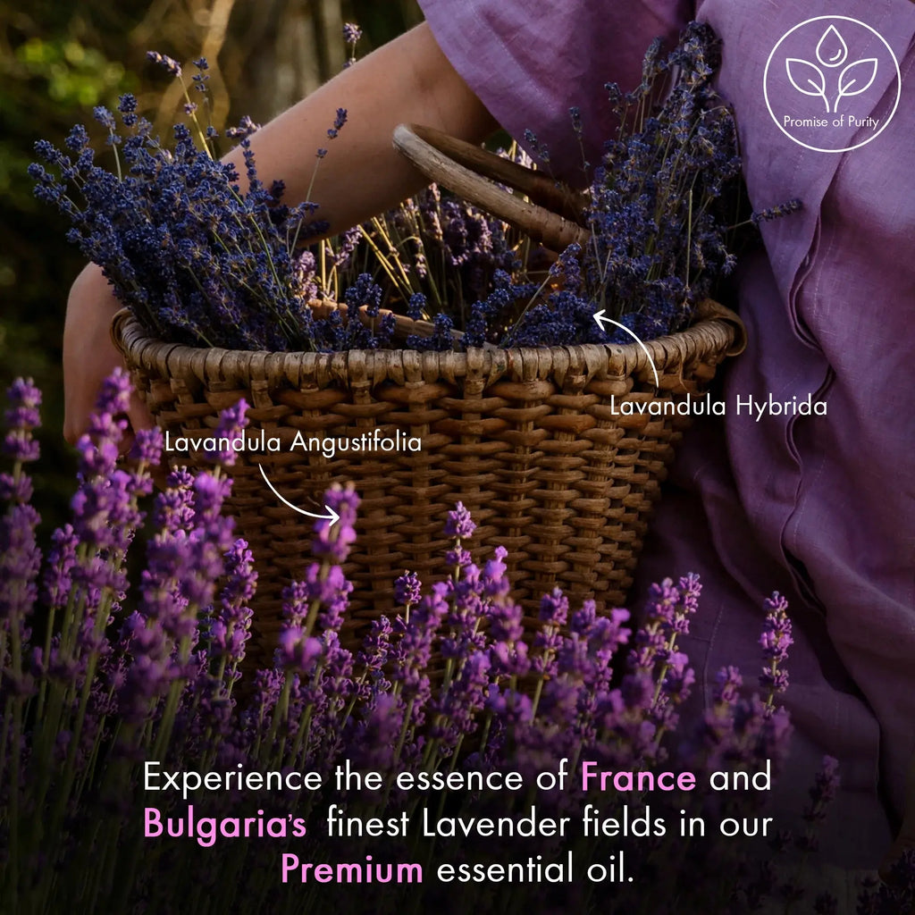 Lavender essential oil | 100% natural | 4 fl oz