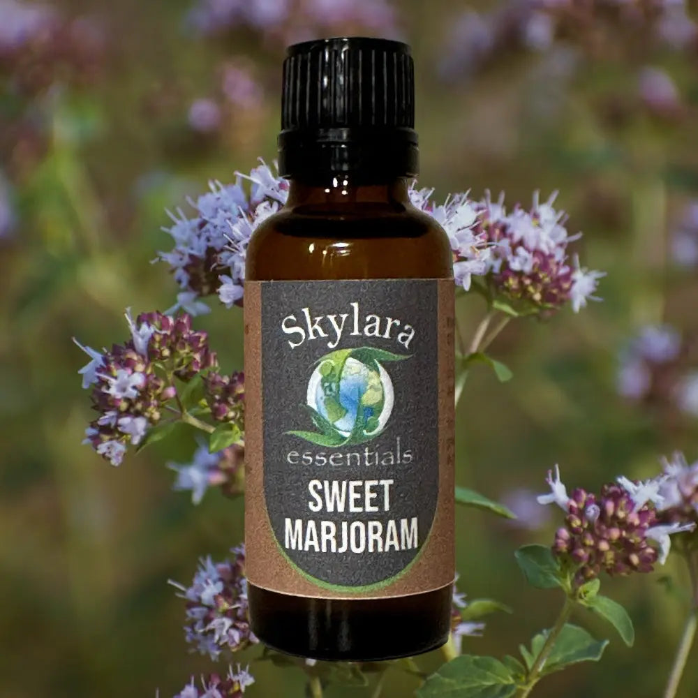 Sweet Marjoram essential oil | Egyptian, steam-distilled | Pure and roll-on