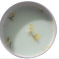 Soy wax fragrance candle | Bogue Banks | clove, cedarwood, oud, cardamom