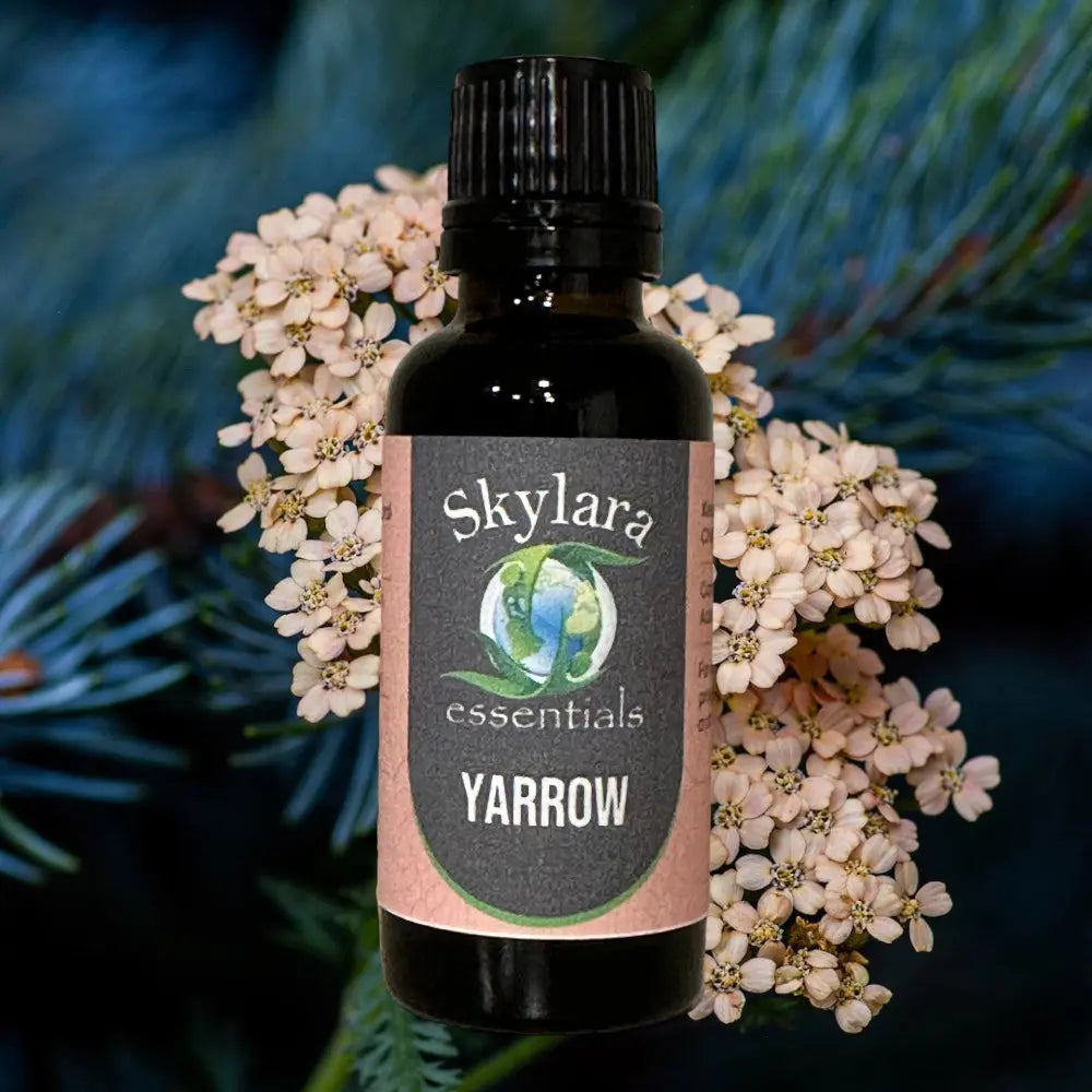 Yarrow essential oil | Therapeutic grade | Pure oil and roll-on