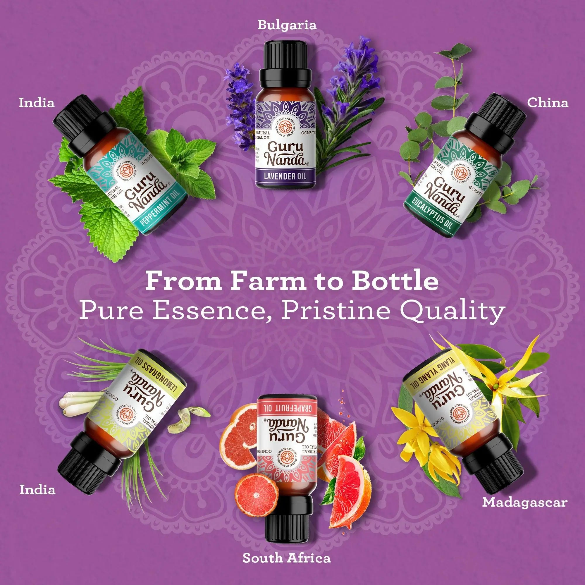 Essential oil single notes set | 6 pure single oils | Worldwide sourced