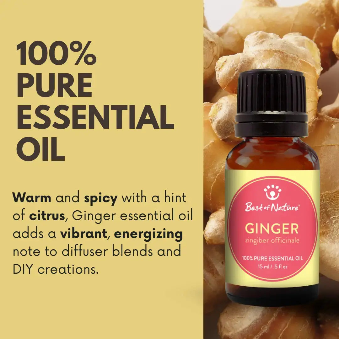 Ginger essential oil | Warm spicy aroma | 15ml