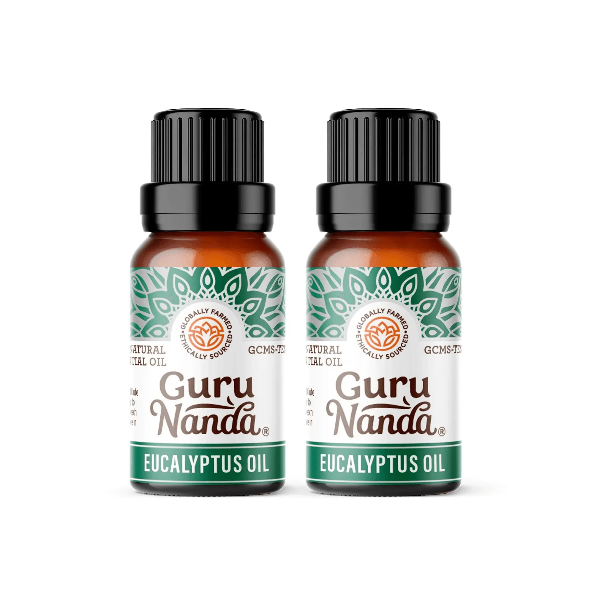 Eucalyptus essential oil | Evergreen aroma | 2-pack