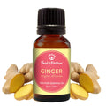 Ginger essential oil | Warm spicy aroma | 15ml