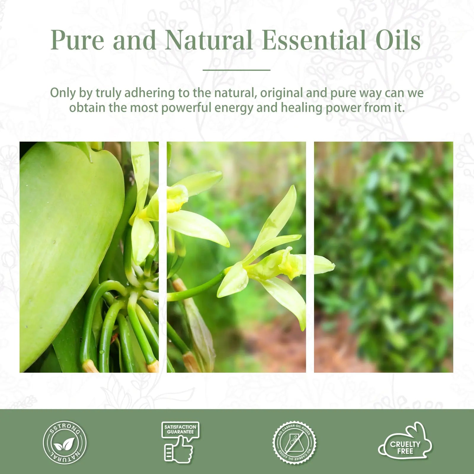 Vanilla fragrance oil | For diffusers & humidifiers | 100ml