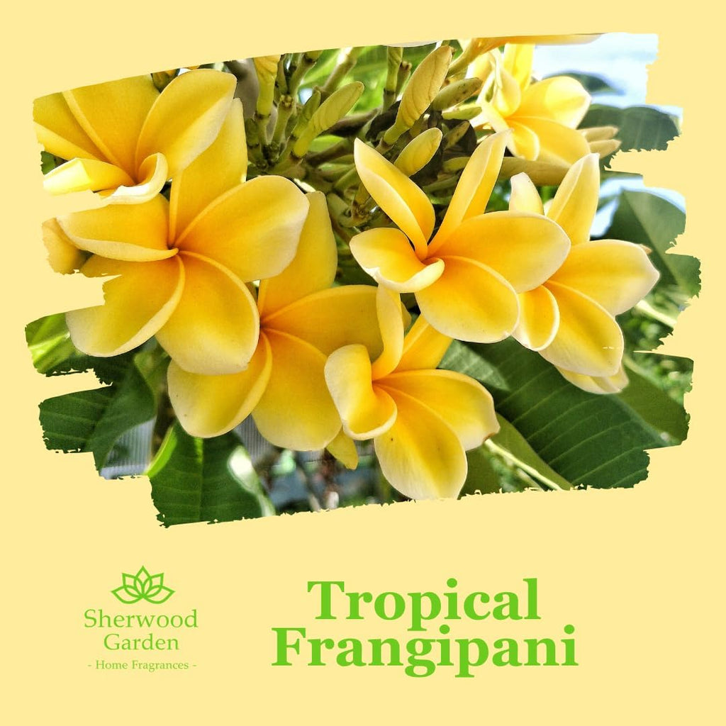 Soy wax melts | Tropical frangipani | 70g