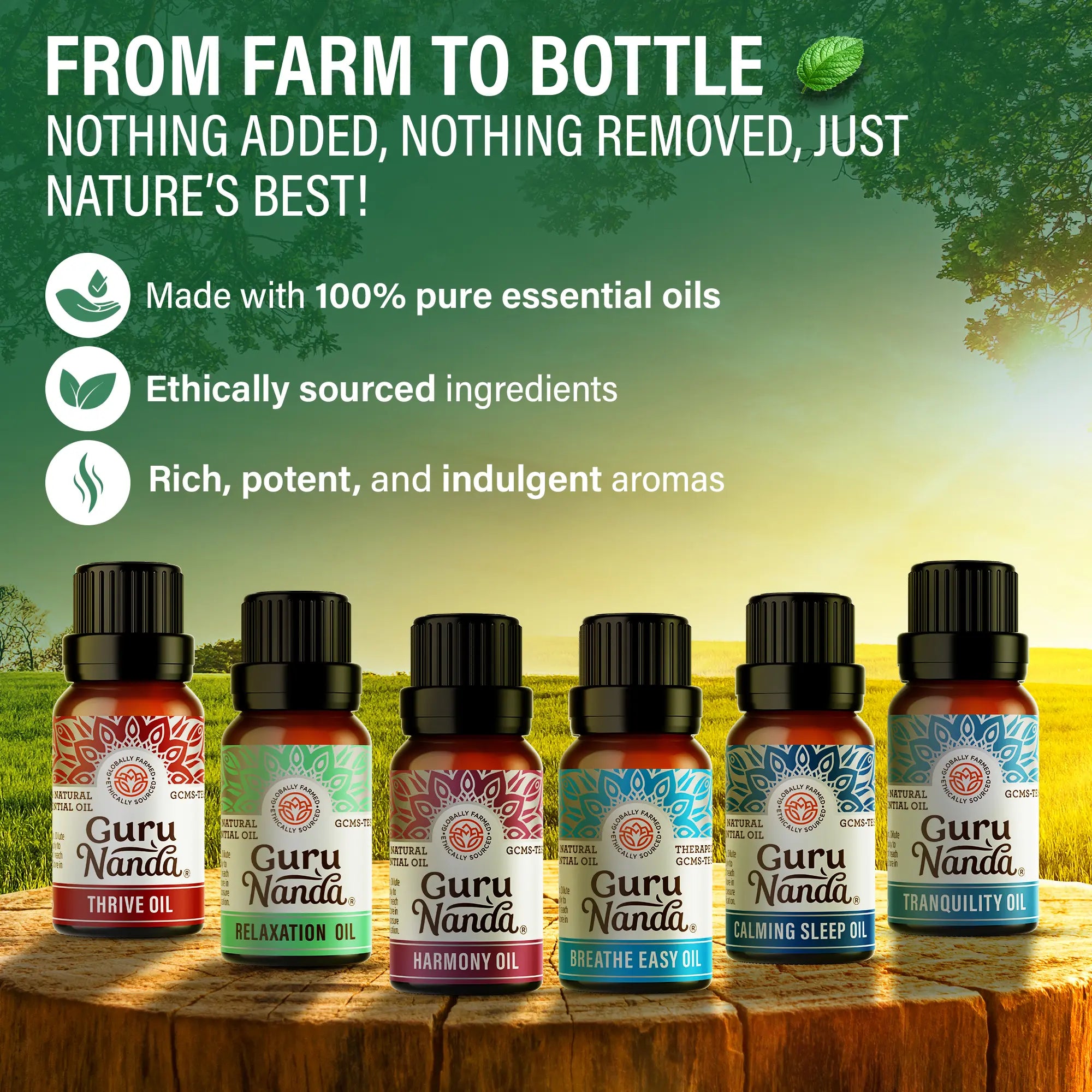 Essential oil blends set | 6-blend wellness collection | Pure oils