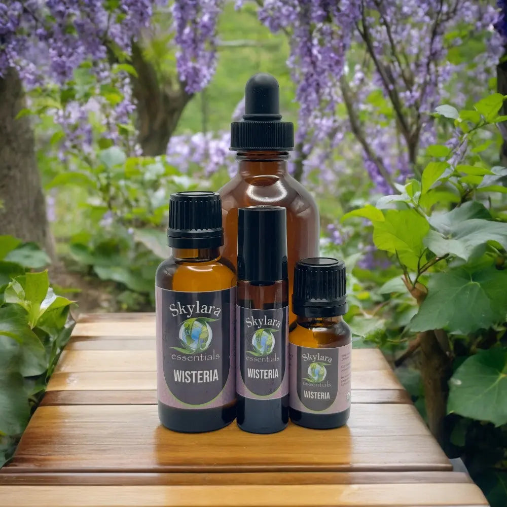 Wisteria essential oil | Canadian, steam-distilled | Pure oil and roll-on